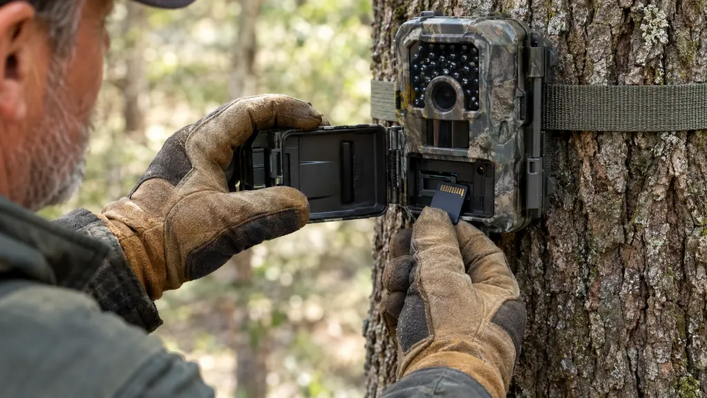 Hands in a work glove opening a trail camera strapped to a tree to swap an SD card, tree bark in the background